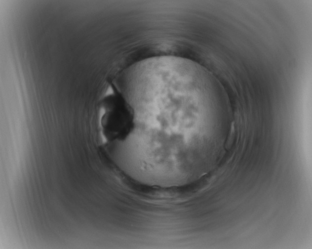 X0000115590223200911171036