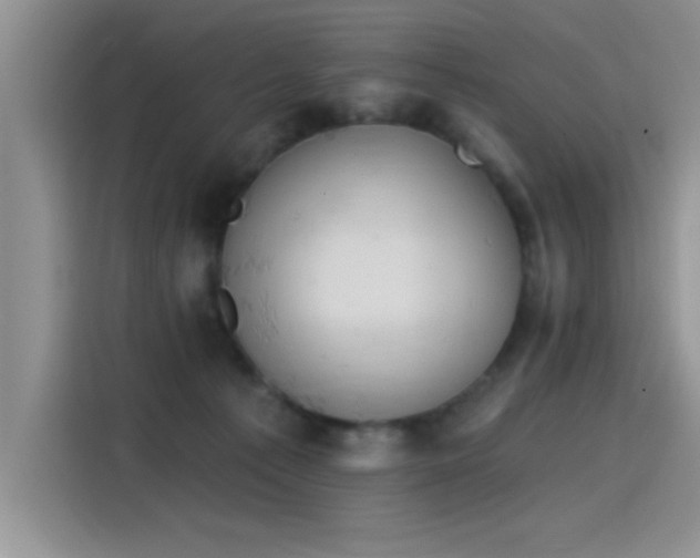 X0000115590225200911171036