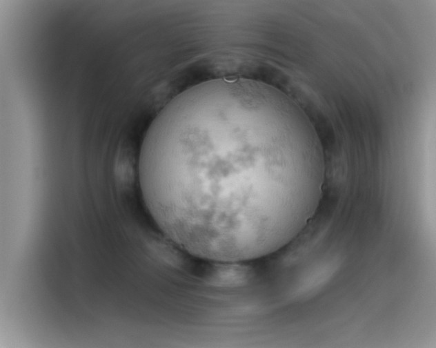 X0000115590226200911171036