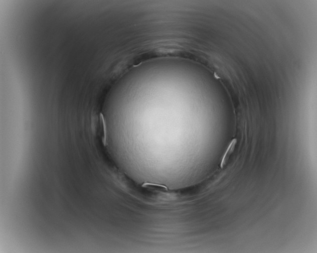 X0000115590227200911171036