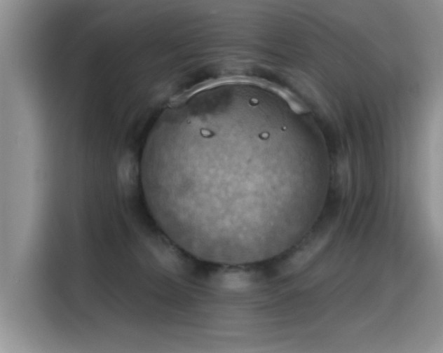 X0000115590228200911171036