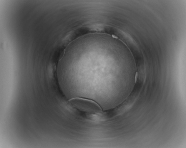 X0000115590229200911171036