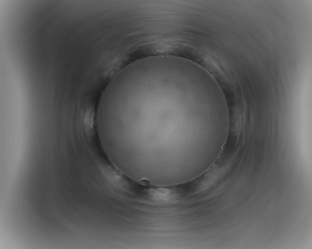 X0000115590230200911171036