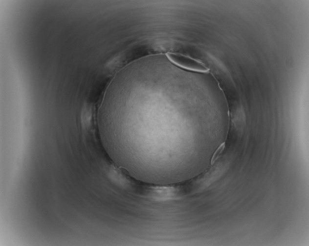X0000115590233200911171036