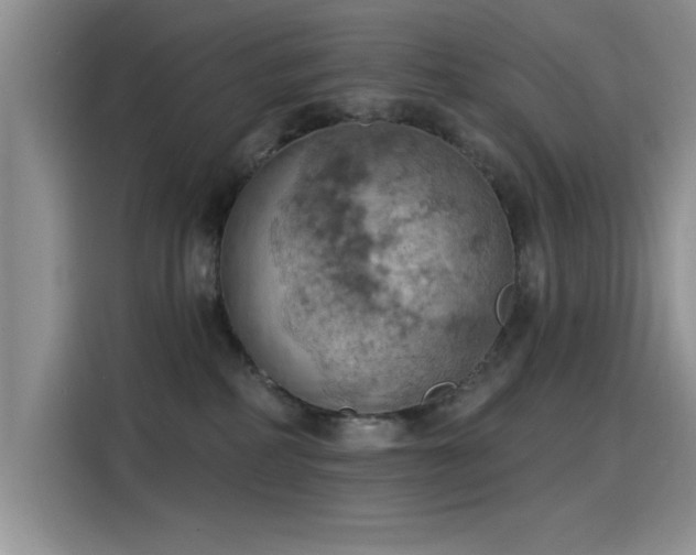X0000115590234200911171036