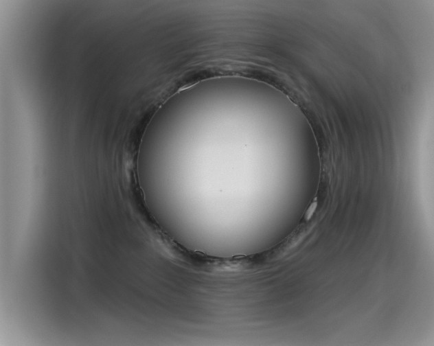 X0000115590235200911171036