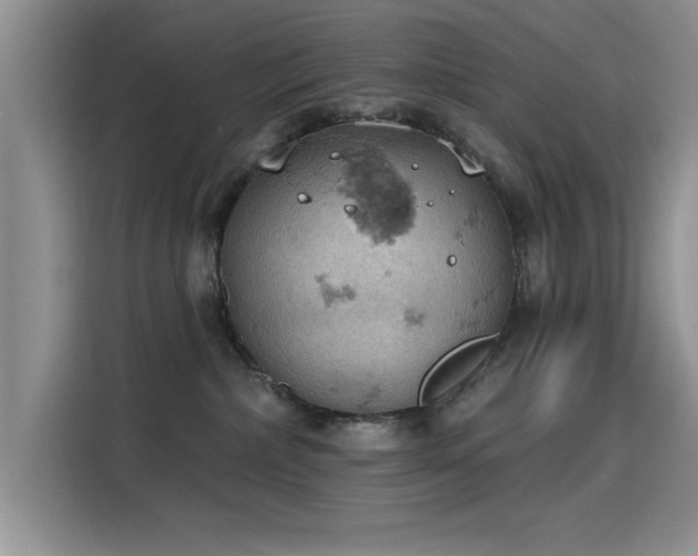 X0000115590236200911171036