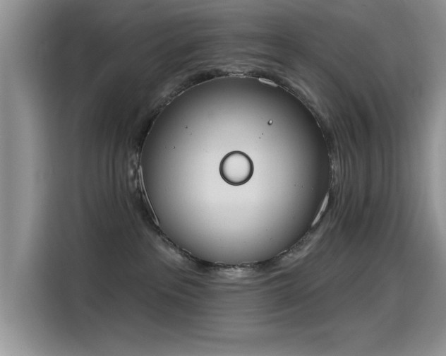 X0000115590237200911171036
