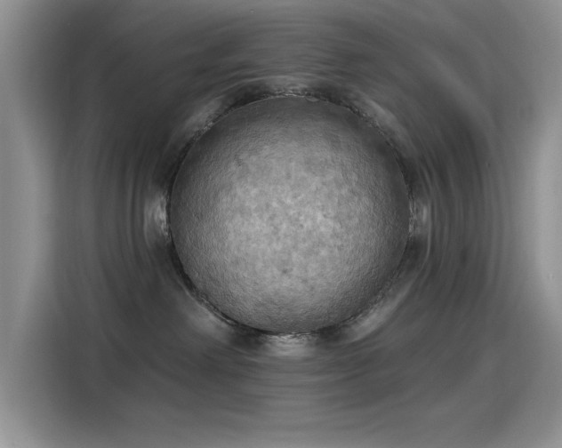 X0000115590238200911171036