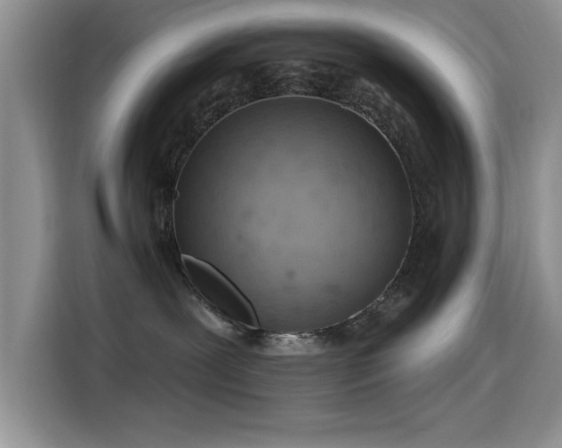 X0000115590239200911171036