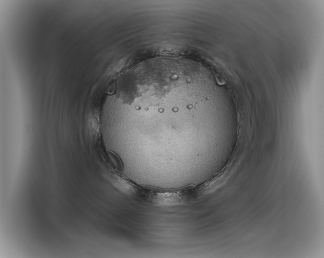 X0000115590240200911171036