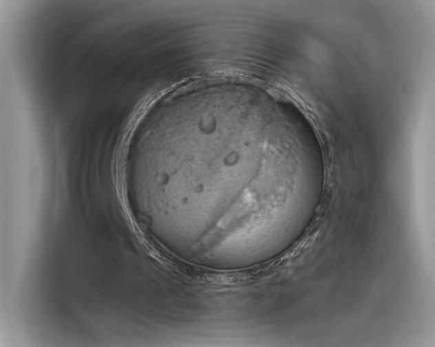 X0000115590241200911171035