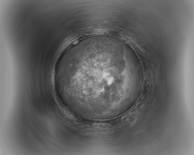 X0000115590242200911171035