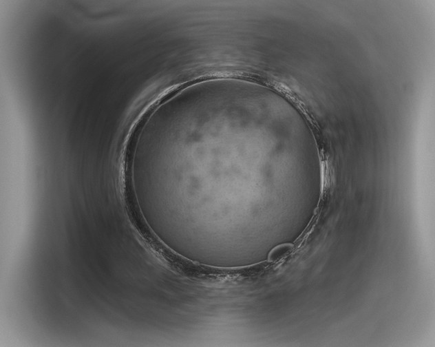X0000115590243200911171035