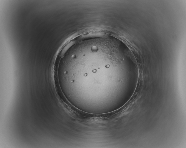 X0000115590244200911171035