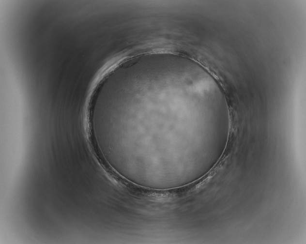 X0000115590245200911171035