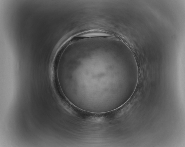 X0000115590247200911171035