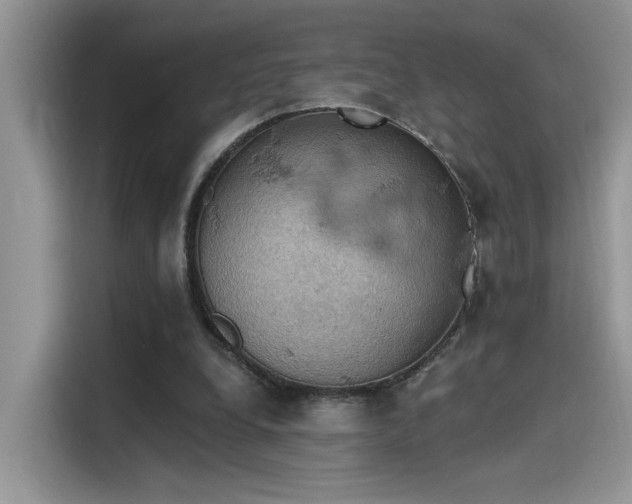 X0000115590248200911171035