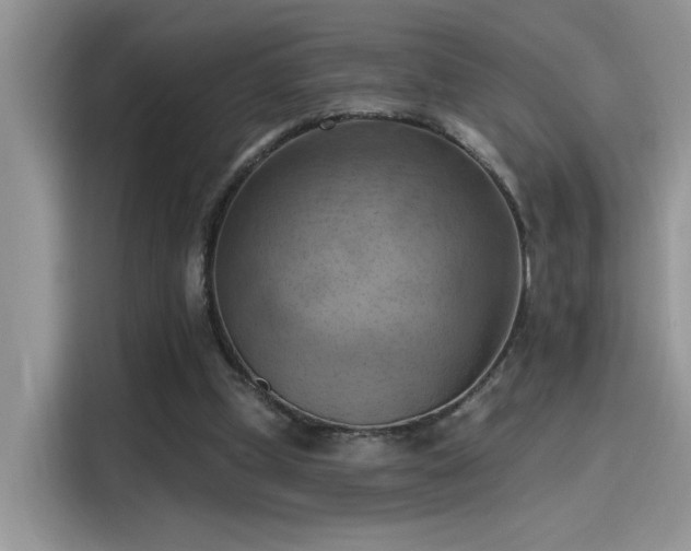 X0000115590249200911171035