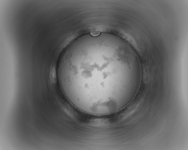 X0000115590251200911171035