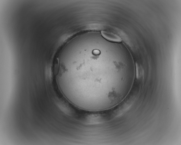 X0000115590252200911171035