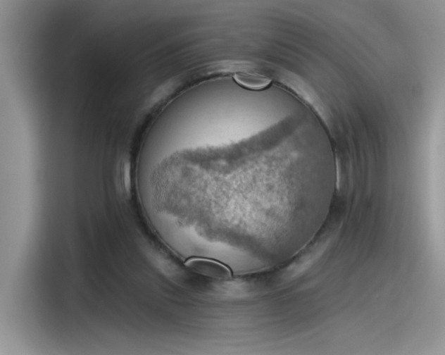 X0000115590253200911171035