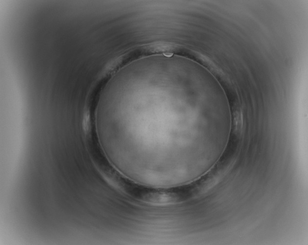 X0000115590254200911171035