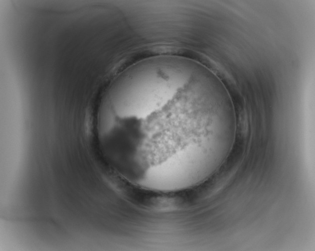 X0000115590255200911171035