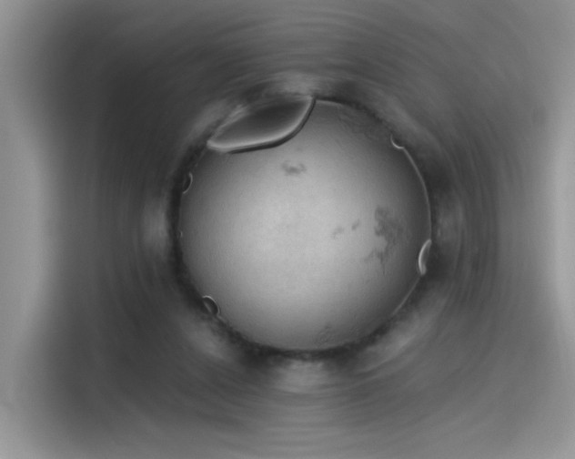 X0000115590256200911171035