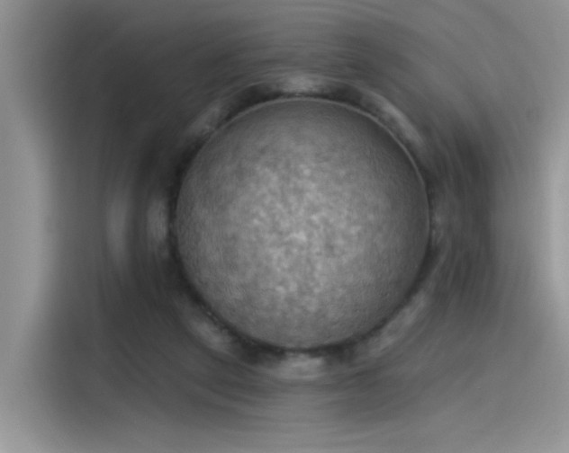 X0000115590257200911171035