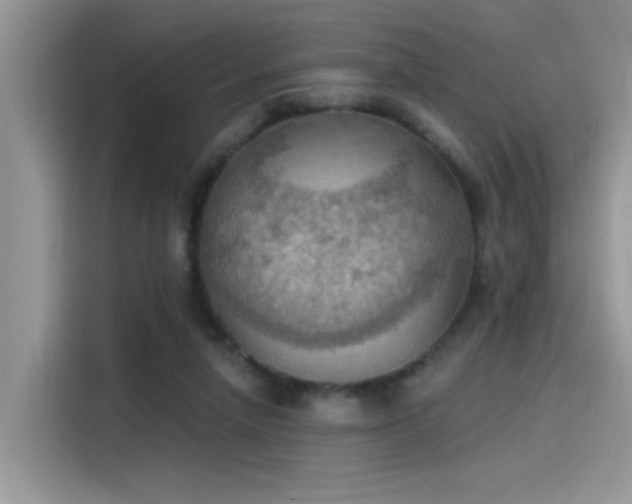 X0000115590258200911171035