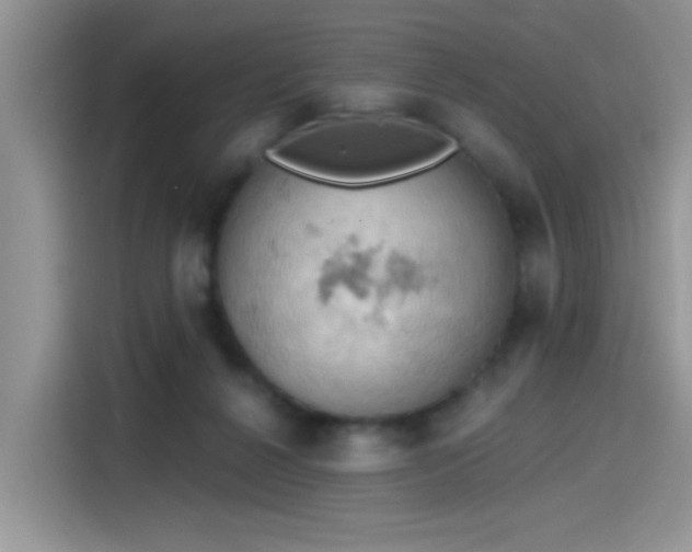 X0000115590264200911171035