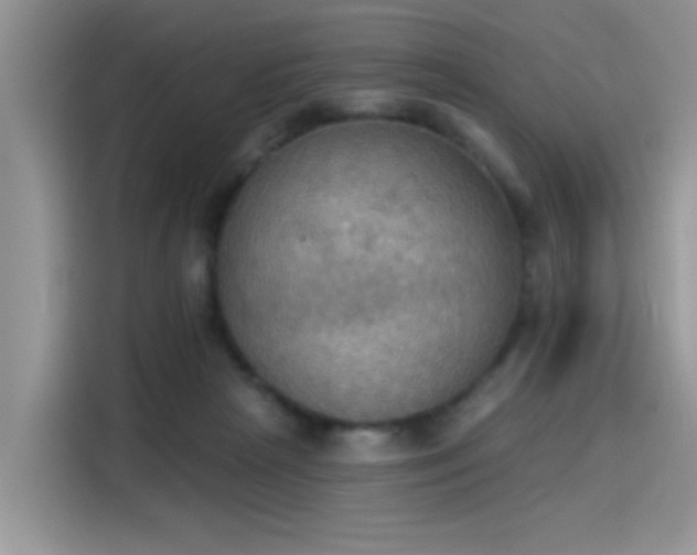 X0000115590265200911171035