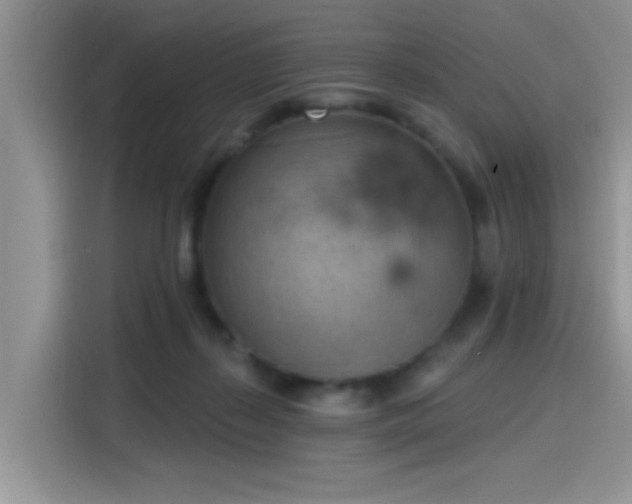 X0000115590267200911171035
