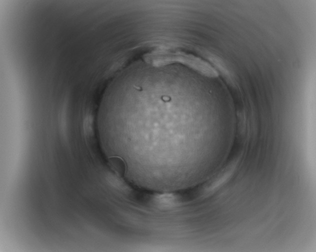 X0000115590269200911171036