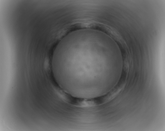 X0000115590270200911171036