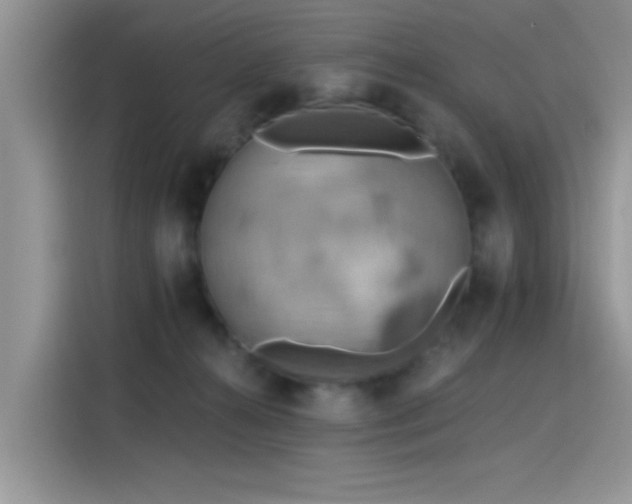 X0000115590272200911171036