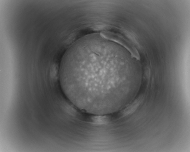 X0000115590273200911171036