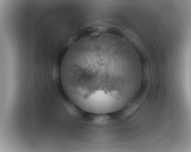 X0000115590274200911171036