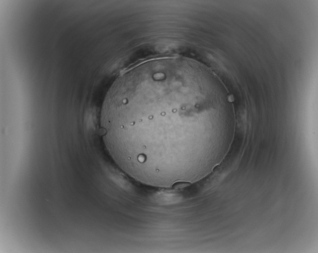 X0000115590280200911171036