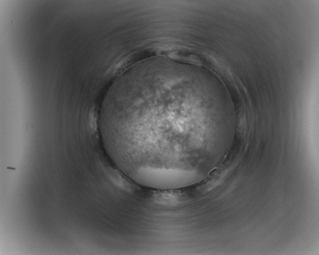 X0000115590282200911171036