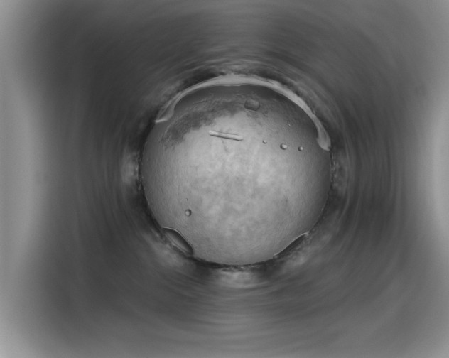 X0000115590284200911171036