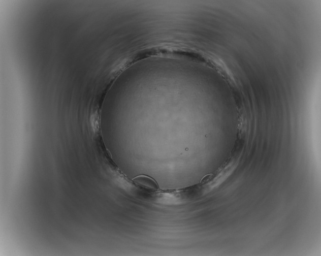 X0000115590285200911171036
