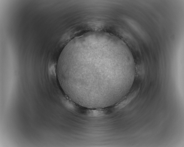 X0000115590286200911171036