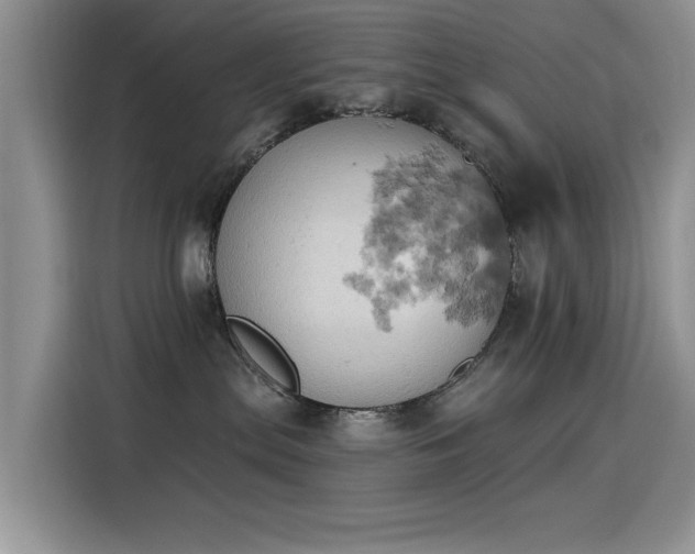 X0000115590287200911171036