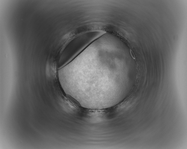 X0000115590288200911171036