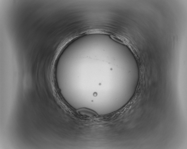 X0000115590289200911171035