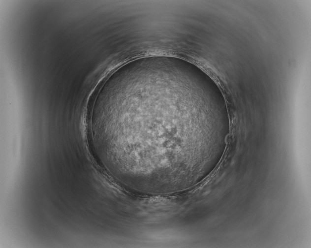 X0000115590290200911171035