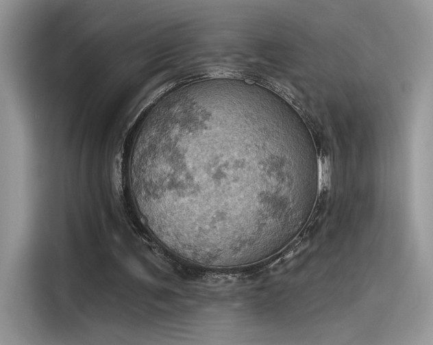 X0000115590291200911171035