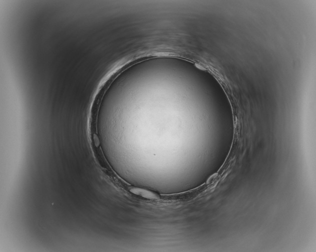 X0000115590292200911171035